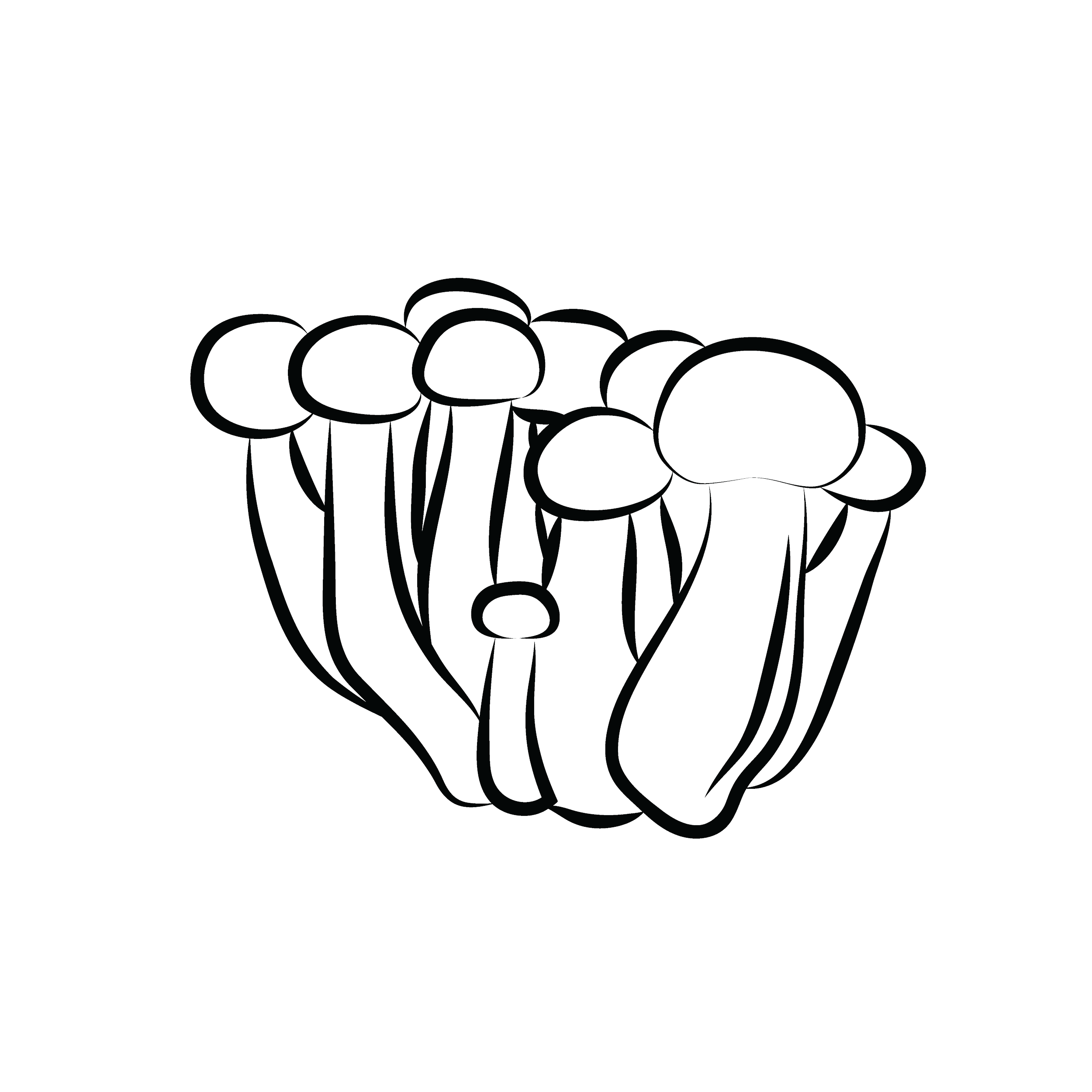 Official Shrooms Bar